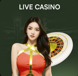 2026年4月12日中甲第4轮石家庄功夫vs佛山南狮直播【24直播网】